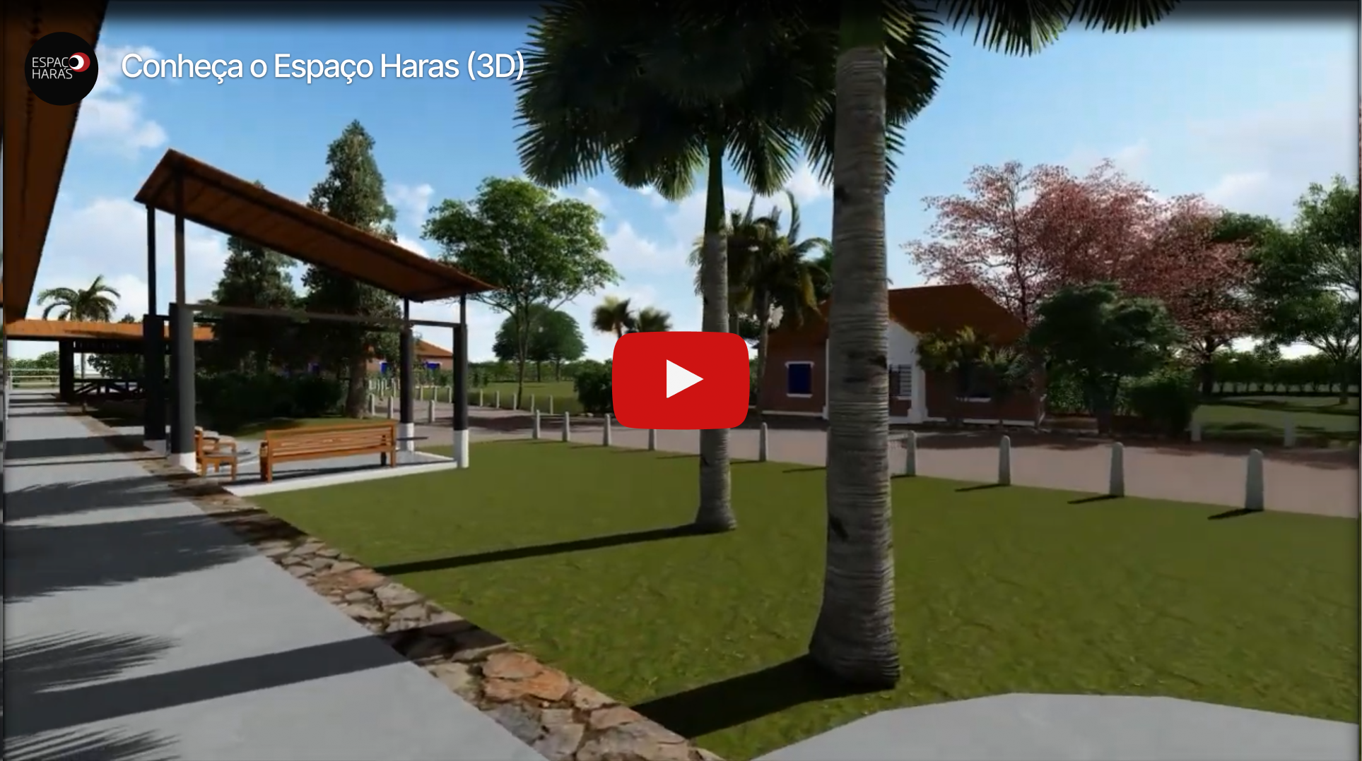video placeholder